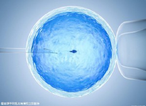 刘阳旭主任